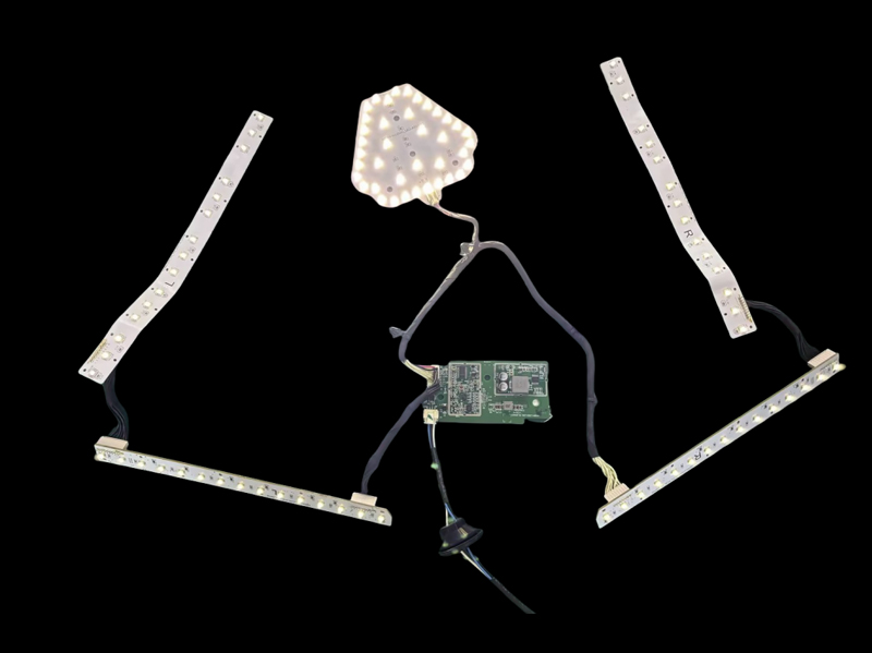 LED front combination light module