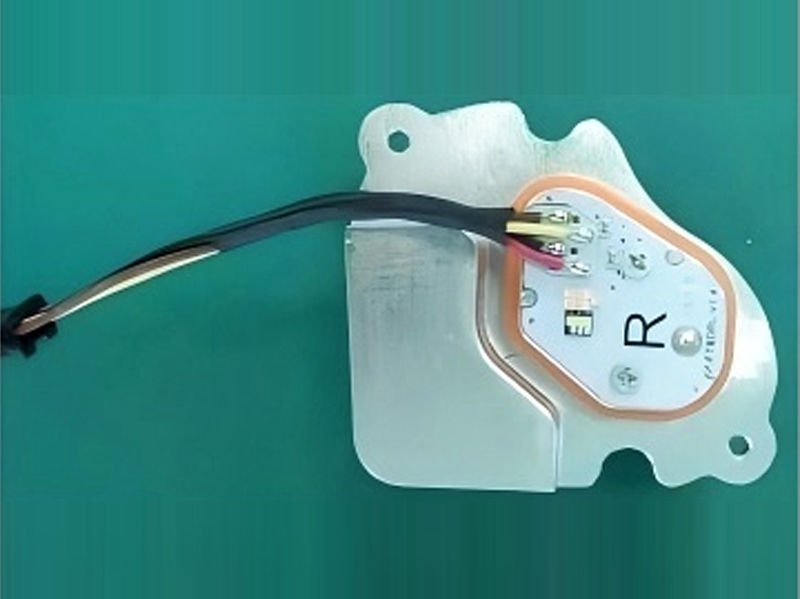 Light guided turn signal daytime running light module